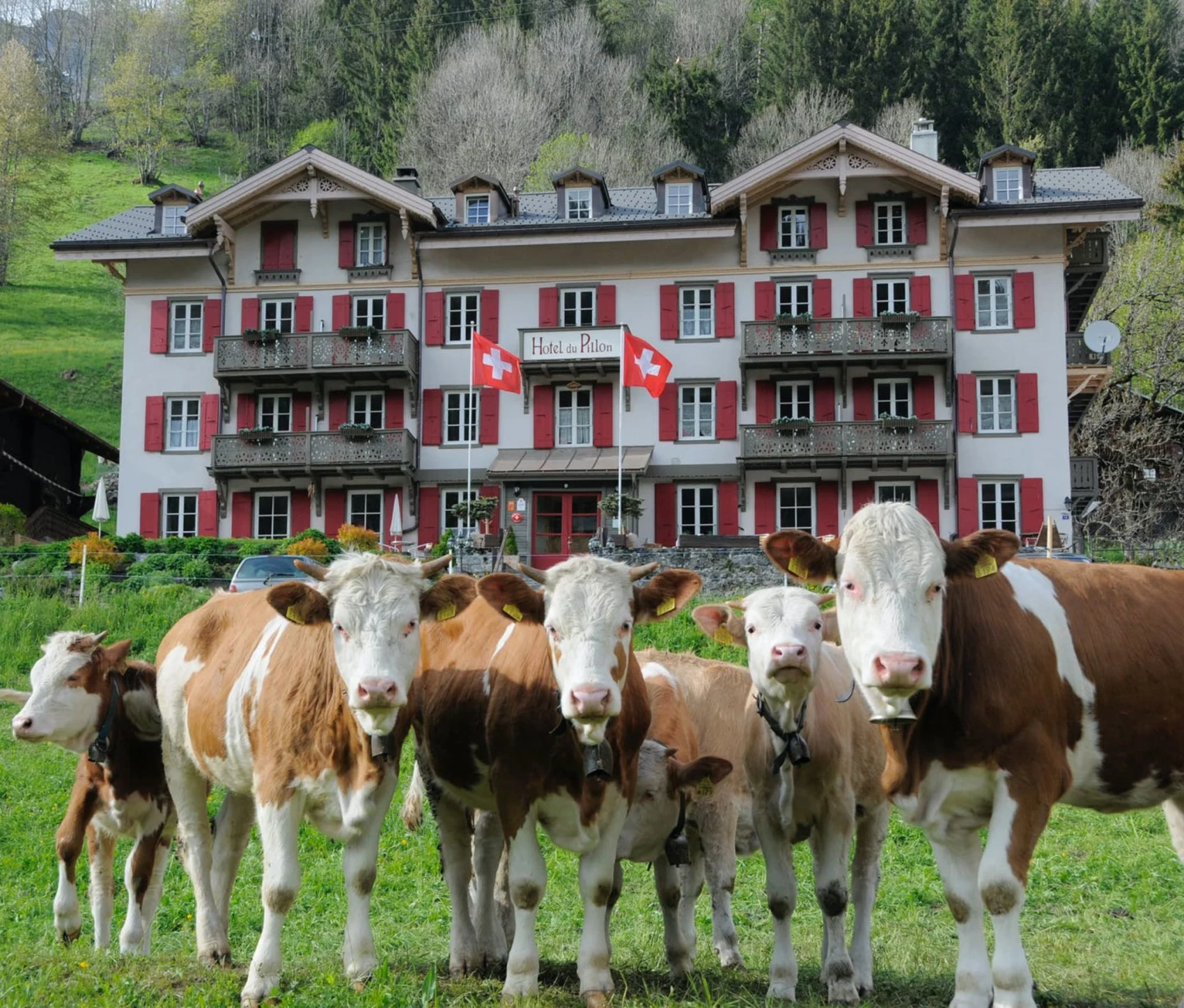 Hôtel au col du Pillon